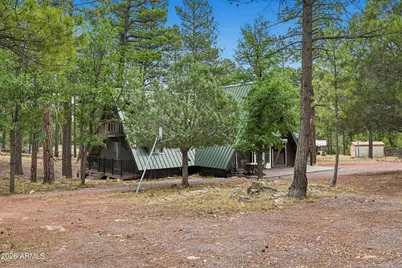 2421 W Velvet Antler Trail, Happy Jack, AZ 86024 - Photo 36