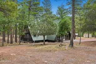 2421 W Velvet Antler Trail, Happy Jack, AZ 86024 - Photo 36