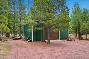2421 W Velvet Antler Trail, Happy Jack, AZ 86024 - Photo 30
