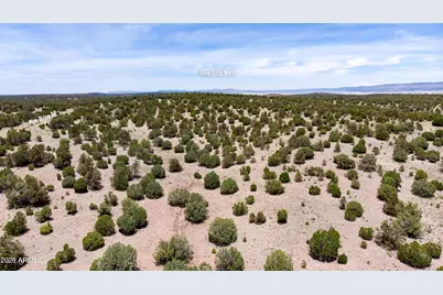 000-B Pine Ridge Trail Rd -- #50, Seligman, AZ 86337 - Photo 8
