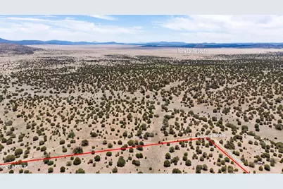 000-B Pine Ridge Trail Rd -- #50, Seligman, AZ 86337 - Photo 12