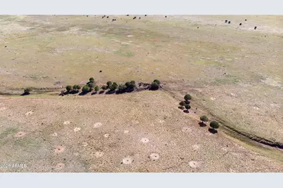A1 Kirby Lane -- #A1, Ash Fork, AZ 86320 - Photo 2