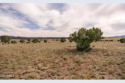 A1 Kirby Lane -- #A1, Ash Fork, AZ 86320 - Photo 4