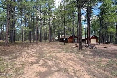 2507 Middle Loop, Forest Lakes, AZ 85931 - Photo 1