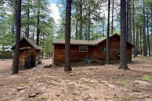 2507 Middle Loop, Forest Lakes, AZ 85931 - Photo 10