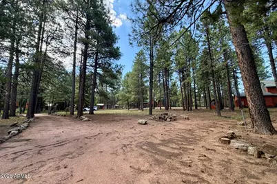 2507 Middle Loop, Forest Lakes, AZ 85931 - Photo 20