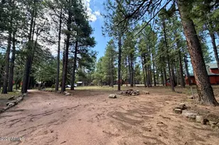 2507 Middle Loop, Forest Lakes, AZ 85931 - Photo 20