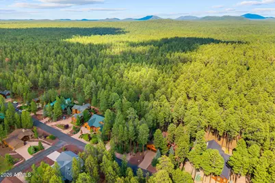 8829 Country Club Drive, Pinetop, AZ 85935 - Photo 66