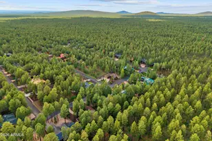8829 Country Club Dr, Pinetop, AZ 85935 - Photo 68