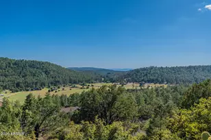 8397 W Turkey Run Dr, Pine, AZ 85544 - Photo 80
