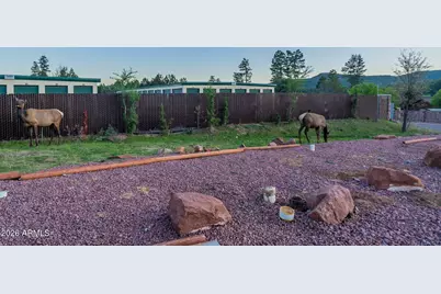 8397 W Turkey Run Drive, Pine, AZ 85544 - Photo 78