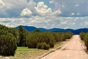 121 125 127 & 129 Co Rd 8051 4 14 Acre --, Concho, AZ 85924 - Photo 1