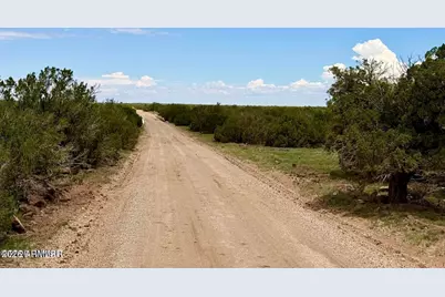 121, 125, 127 & 129 Co Rd 8051 4.14 Acre -- #-, Concho, AZ 85924 - Photo 12