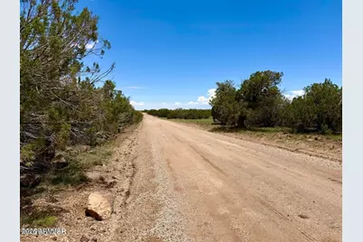 121, 125, 127 & 129 Co Rd 8051 4.14 Acre -- #-, Concho, AZ 85924 - Photo 10