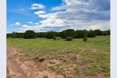 85 Co Rd 8128 Lots 100, 101 & 108 3.33 -- #-, Concho, AZ 85924 - Photo 6