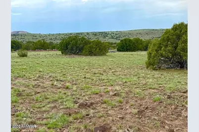 85 Co Rd 8128 Lots 100, 101 & 108 3.33 -- #-, Concho, AZ 85924 - Photo 14