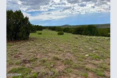 85 Co Rd 8128 Lots 100, 101 & 108 3.33 -- #-, Concho, AZ 85924 - Photo 12