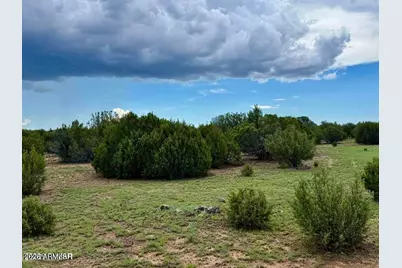 85 Co Rd 8128 Lots 100, 101 & 108 3.33 -- #-, Concho, AZ 85924 - Photo 4
