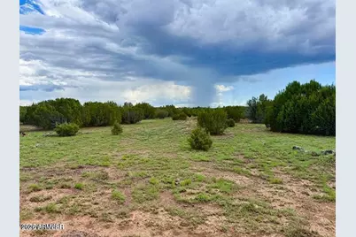 85 Co Rd 8128 Lots 100, 101 & 108 3.33 -- #-, Concho, AZ 85924 - Photo 8