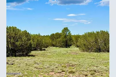 85 Co Rd 8128 Lots 100, 101 & 108 3.33 -- #-, Concho, AZ 85924 - Photo 2