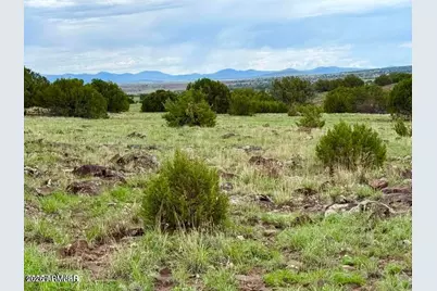 85 Co Rd 8128 Lots 100, 101 & 108 3.33 -- #-, Concho, AZ 85924 - Photo 1