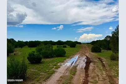 85 Co Rd 8128 Lots 100, 101 & 108 3.33 -- #-, Concho, AZ 85924 - Photo 16