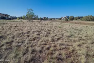 981 S Lorenzo Sitgreaves Dr, Show Low, AZ 85901 - Photo 10