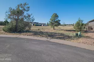 981 S Lorenzo Sitgreaves Dr, Show Low, AZ 85901 - Photo 8