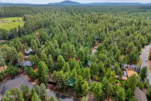 6048 Pitch Fork Ln, Pinetop, AZ 85935 - Photo 28