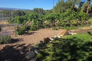 12 Navajo Dr Cr5067 --, Concho, AZ 85924 - Photo 36