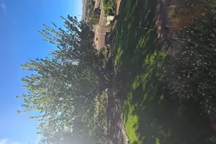 12 Navajo Dr Cr5067 --, Concho, AZ 85924 - Photo 46