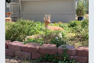 700 White Spar Road #36, Prescott, AZ 86301 - Photo 4