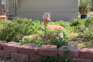 700 White Spar Rd, Prescott, AZ 86301 - Photo 4