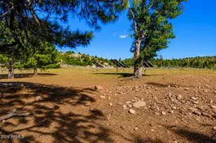 1613 Black Canyon Rd, Heber, AZ 85928 - Photo 76
