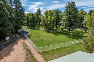 1613 Black Canyon Rd, Heber, AZ 85928 - Photo 82