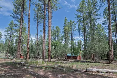 559 W Diamond Loop, Payson, AZ 85541 - Photo 32
