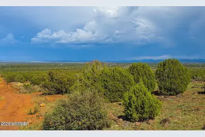 8063 Mustang Ln 10 Acres -- #-, Show Low, AZ 85901 - Photo 16