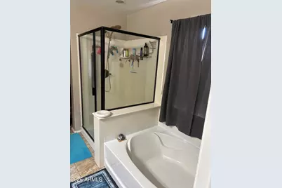 28311 N Cactus Flower Circle, San Tan Valley, AZ 85143 - Photo 14