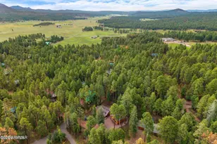 6 County Road 2068 --, Alpine, AZ 85920 - Photo 40