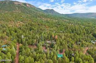 6 County Road 2068 --, Alpine, AZ 85920 - Photo 42