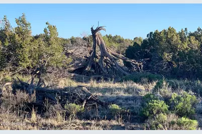 9 N7340 -- #14, Saint Johns, AZ 85936 - Photo 14