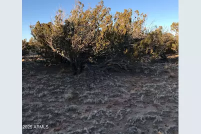 9 N7340 -- #14, Saint Johns, AZ 85936 - Photo 8