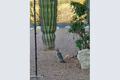 1534 N Acacia Road, Apache Junction, AZ 85119 - Photo 34