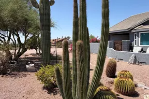 1534 N Acacia Rd, Apache Junction, AZ 85119 - Photo 32
