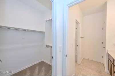 29507 N 113th Lane, Peoria, AZ 85383 - Photo 34