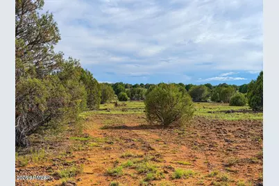 8087 Mustang Ln 20 Acres -- #-, Show Low, AZ 85901 - Photo 4