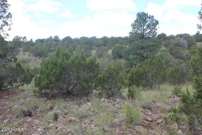 29 Co Rd 3199 -- #-, Vernon, AZ 85940 - Photo 12