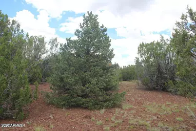 29 Co Rd 3199 -- #-, Vernon, AZ 85940 - Photo 14