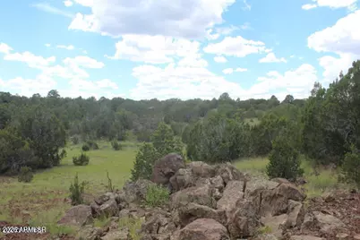 29 Co Rd 3199 -- #-, Vernon, AZ 85940 - Photo 16