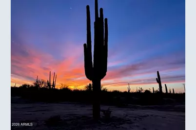 0000 Sandra -- #-, Marana, AZ 85658 - Photo 2
